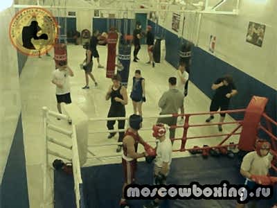 Зал бокса в Алматы - Клуб бокса Moscowboxing